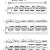 Flute Sonata No. 8 - The Ghost Sonata