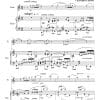 Flute Sonata No. 9 - (The Manhattan Sonata) - Image 2