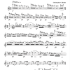 Hoe Down No. 1 - 2 Flutes - Image 3