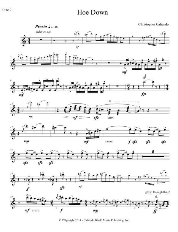Hoe Down No. 2 - Flute Choir | Caliendo World Music Publishing