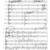 Western Suite Flute Orchestra - Piccolo | 4 Flutes | Alto | Bass - Image 2