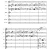 Western Suite Flute Orchestra - Piccolo | 4 Flutes | Alto | Bass - Image 4