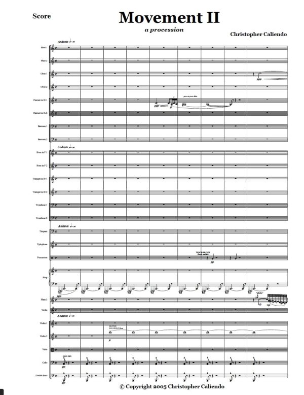 Flute Concerto No. 1 - Flute | Symphony Orchestra | Caliendo World Music Publishing
