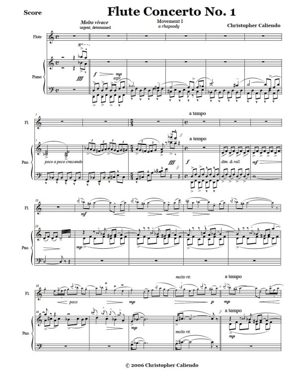 Flute Concerto No. 1 - Flute | Piano