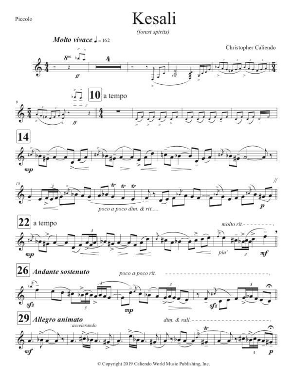 Piccolo Concerto - Piccolo | Piano | Caliendo World Music Publishing