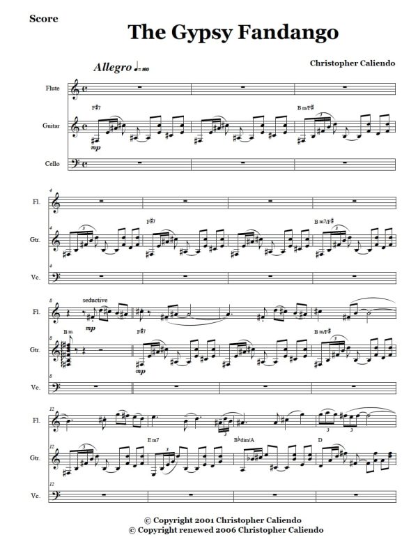 Gypsy Fandango - Flute | Guitar | Cello