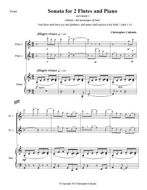 Flute Sonata For Flute And Piano