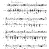 La Esgrimadora (The female fencer) - Flute | Guitar