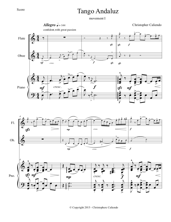 Tango Concerto No. 1 (Flute, Oboe, Piano)