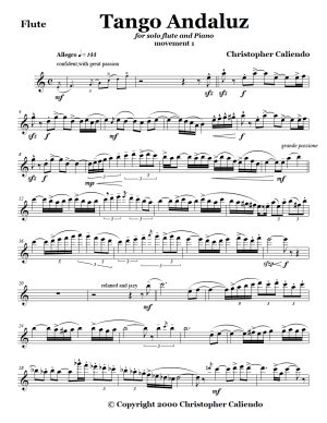 Tango Concerto No. 1 (3 Movements For Flute &Amp; Piano