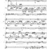 Sincerita' (sincerely) - Flute | Piano