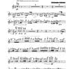 Sincerita' (sincerely) - Flute | Violin | Viola | Cello - Image 5