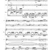 Sincerita' (sincerely) - Flute | Cello | Piano