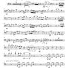 Rinascimento (renaissance) - Wind Ensemble - Image 30