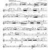 Rinascimento (renaissance) - Wind Ensemble - Image 23
