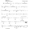 Rinascimento (renaissance) - Wind Ensemble - Image 17