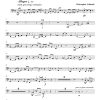 Rinascimento (renaissance) - Wind Ensemble - Image 4