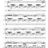 Contigo (with you) - Flute | Guitar | Cello