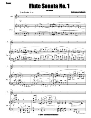 Flute Sonata No. 1 (The Composer's Sonata)