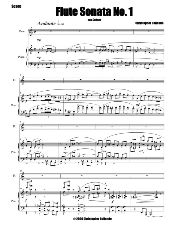 Flute Sonata No. 1 (The Composer'S Sonata)