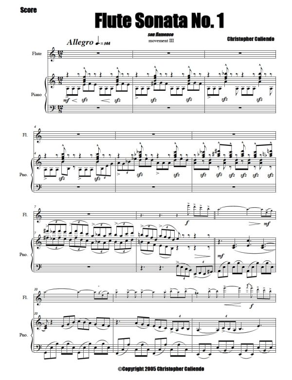 Flute Sonata No. 1 - (The Composer'S Sonata) | Caliendo World Music Publishing