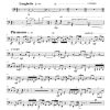 Endowment - Wind Ensemble - Image 31