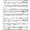 Argentina - Flute | Violin | Cello