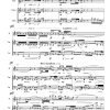 Argentina - Flute | Violin | Cello - Image 2
