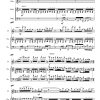 Argentina - Flute | Violin | Cello - Image 3