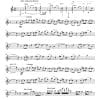 Senorita - Flute | Guitar - Image 3
