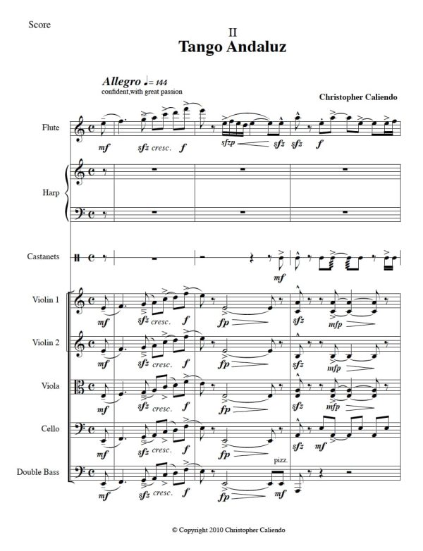 World Music Serenade No. 1 - Flute | Harp | Percussion | Strings | Caliendo World Music Publishing