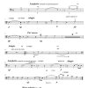 Amor Perdido (lost love) - Solo Flute | Harp | Percussion | Strings - Image 7