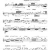 Amor Perdido (lost love) - Solo Flute | Harp | Percussion | Strings - Image 6
