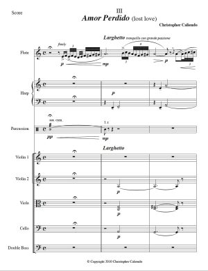 Amor Perdido (lost love) - Solo Flute | Harp | Percussion | Strings
