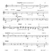 Amor Perdido (lost love) - Solo Flute | Harp | Percussion | Strings - Image 3