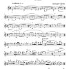 Flute Sonata No. 10 - (The Norwegian Sonata) - Image 5