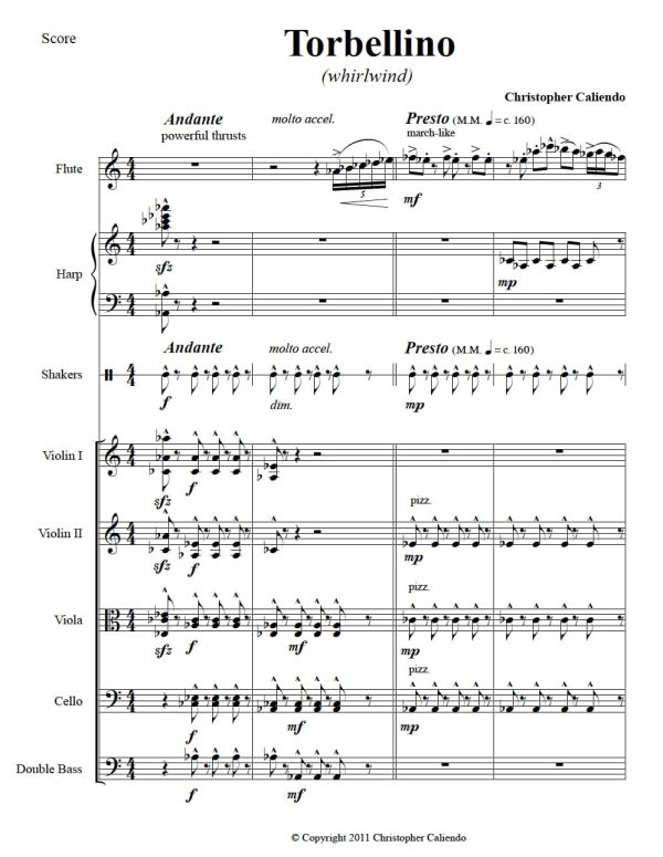 World Music Serenade No. 2 - Flute | Harp | Percussion | Strings