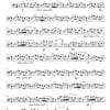 Prosperare (to prosper) - Symphonic Orchestra - Image 31