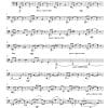 Prosperare (to prosper) - Symphonic Orchestra - Image 30