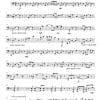 Prosperare (to prosper) - Symphonic Orchestra - Image 29