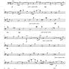 Prosperare (to prosper) - Symphonic Orchestra - Image 26
