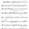 Prosperare (to prosper) - Symphonic Orchestra - Image 18