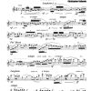 Amor Perdido (lost love) - 2 Flutes | Guitar - Image 3