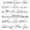 Amor Perdido (lost love) - 2 Flutes | Guitar - Image 2