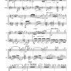 Amor Perdido (lost love) - Flute | Guitar - Image 2