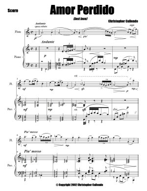 Amor Perdido (lost love) - Flute | Piano
