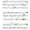 Amor Perdido (lost love) - Flute | Cello | Guitar