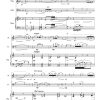 Amor Perdido (lost love) - Flute | Piano | Cello