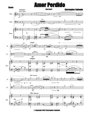 Amor Perdido (lost love) - Flute | Piano | Cello