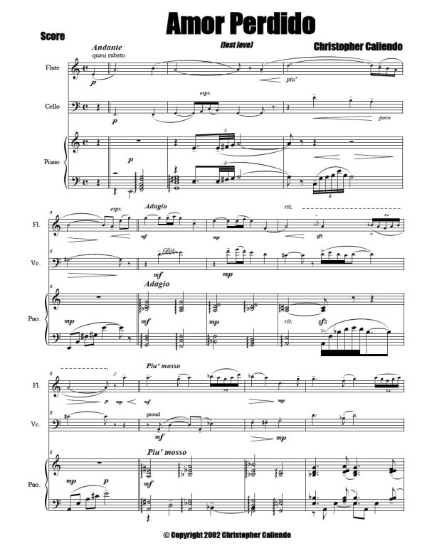 Amor Perdido (Lost Love) - Flute | Piano | Cello